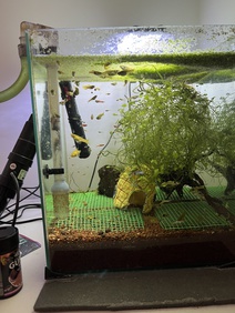 Akvárium 30 L plně zařízené + rybičky + UV lampa + filtr vnější