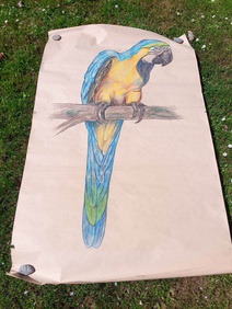 Obrázek papouška cca 100 x 140 cm